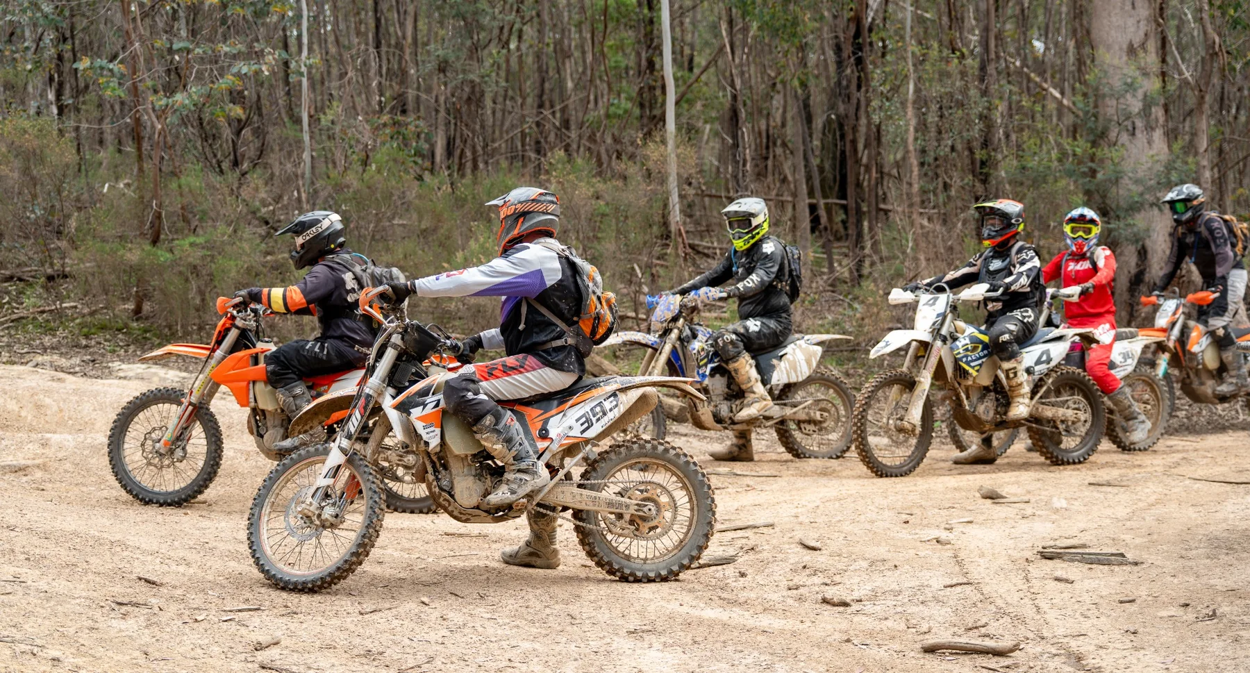 Group of off-road motorcycle riders photographed on a forest trail